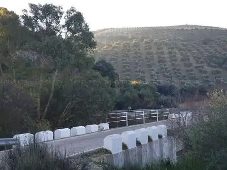 Photo de Manantial Fuente de La Teja (o del Cañuelo)