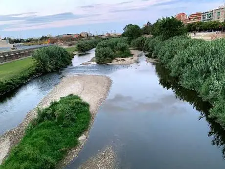 Photo de Parc Fluvial del Besòs