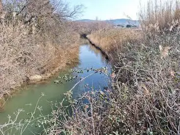 Photo de Étangs de Villepey