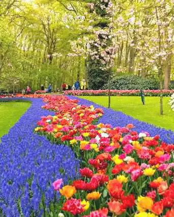Photo de Keukenhof