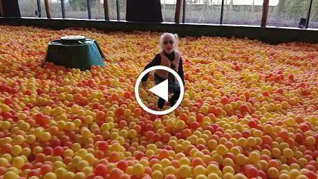 Photo de Het Ballenbad
