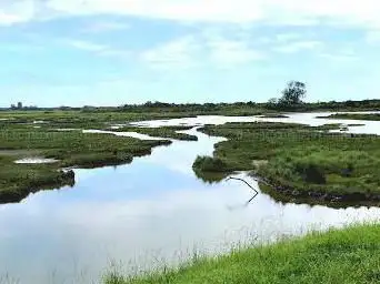 Photo de Ornithological reserve of the Big Bench