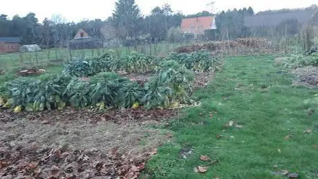 deVeldstraatzoersel