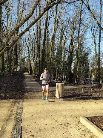Photo de Bois de l'Aurore
