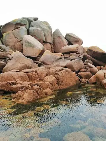 Photo de La Perle de Trégastel
