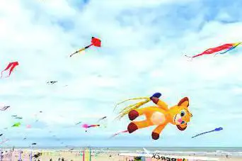 Photo de RICV (Rencontre Internationale de Cerf-Volants)