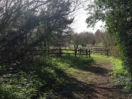 Photo de Pimp Hall Nature Reserve