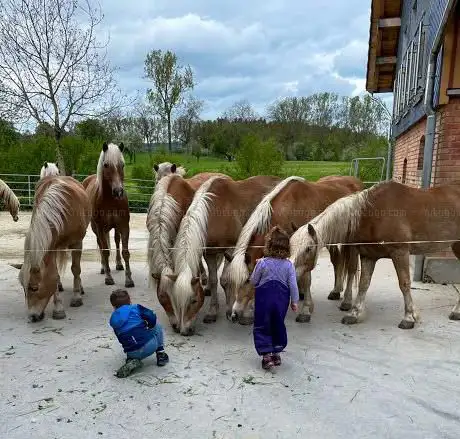 Photo de tannacker Reitferien auf dem Bio Hof