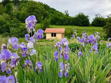 Association Les Plantes Compagnes