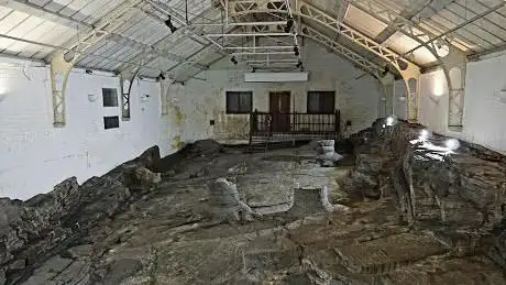 Photo de Fossil Grove