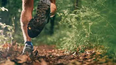 Photo de The Trail Zone