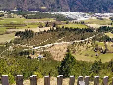Photo de Parco Faunistico Pianpinedo - Cervi e Animali della montagna