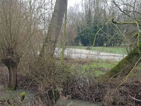 Photo de Cardington Canoe Slalom Course