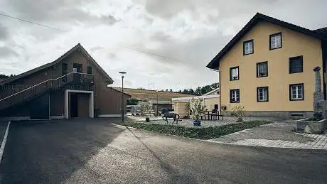 Photo de Islandpferde Ausbildungs und Therapie Zentrum Martin Heller und Karin Reigner