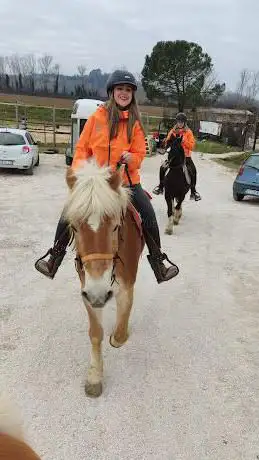 Horseland Ranch ASD