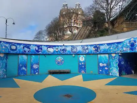 Blue Roundabout