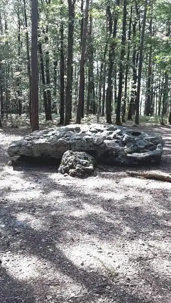 Photo de Dolmen La Grosse Pierre