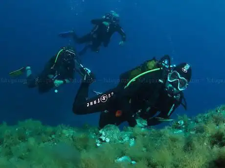 Photo de Méditerranée Plongée