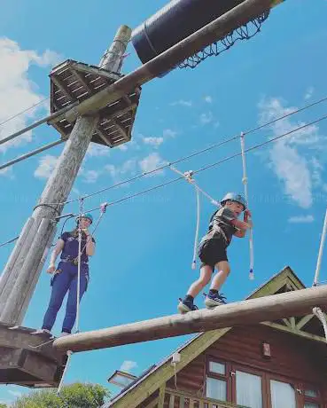 Tree Tops Trail