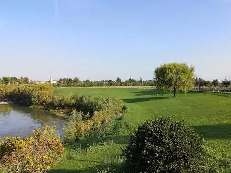 Photo de Passerella sul Bacchiglione