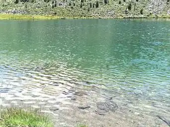 Photo de Estany de Siscaró