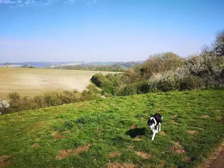 Photo de Milldown Nature Reserve