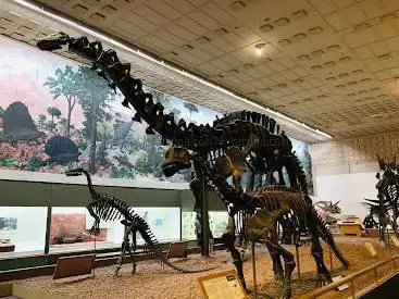 Photo de Yale Peabody Museum