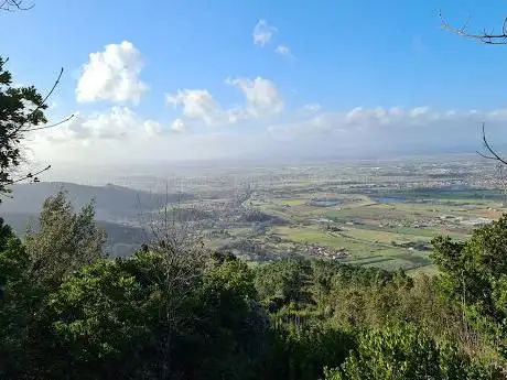 Monte Roncali