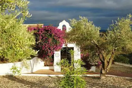Photo de Olivetum Colina