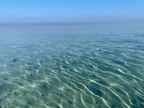 Capo Feto