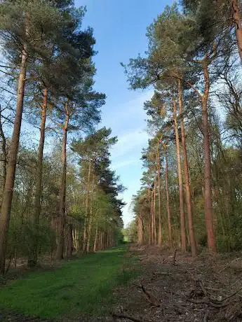 Photo de Chambers Farm Wood