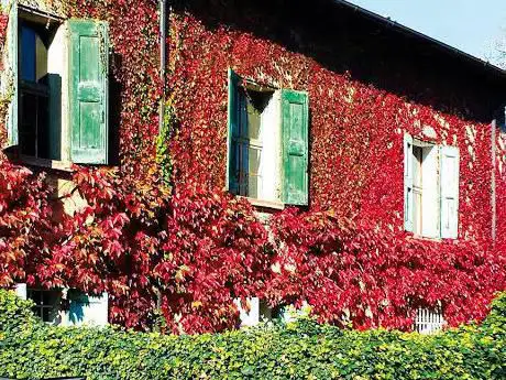 Antica Dimora Sgaravatti
