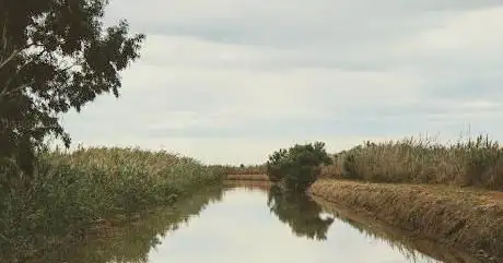 Photo de Estació biològica del Canal Vell