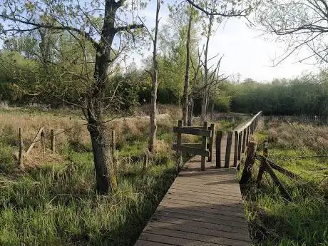 Photo de Dorpsbemden-Pomperik