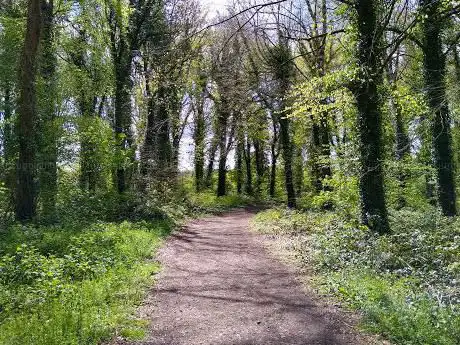 Photo de Donadea Forest Park