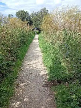 River Frome path Wareham to Redcliffe Farm