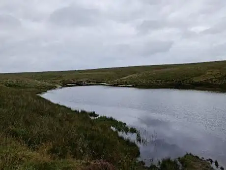 Barle Valley