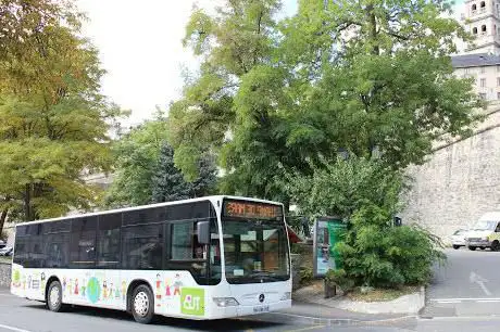 Photo de BusTUB