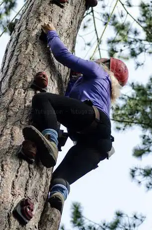 Photo de Wiltshire Outdoor Learning Team