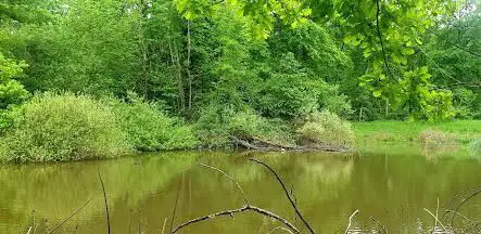 Photo de Réserve naturelle Prés de Villette
