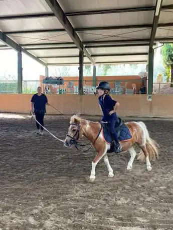 Photo de Scuola di equitazione Micheletto