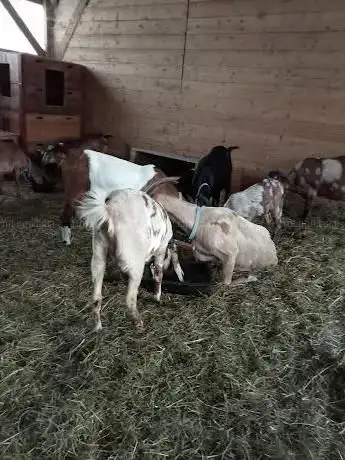 Photo de Haras Du Petit Paris