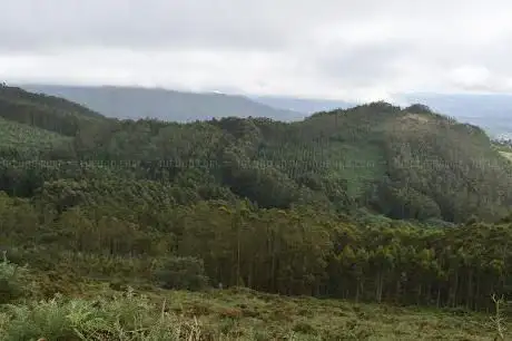 Photo de Monte Faroleiro