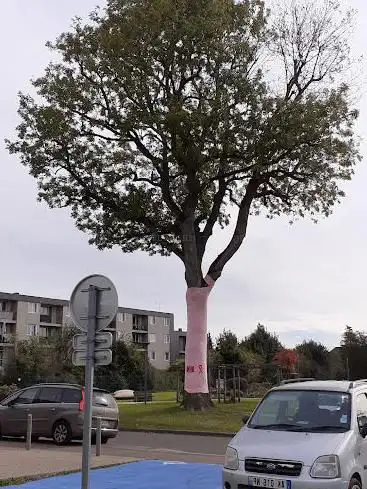 Photo de Maison De Quartier