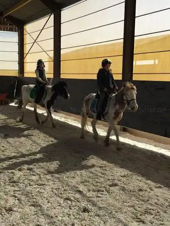 Poney club Paddock Paradise Braives