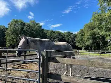 Photo de Mount Holyoke College Equestrian Center