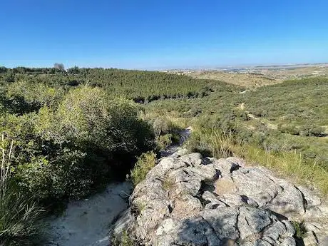 Photo de Mirador Dehesa del Carrascal