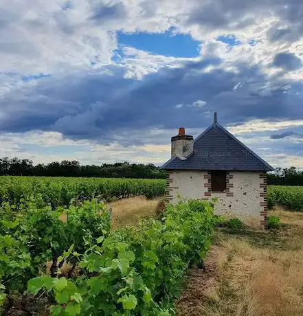 Photo de Rendez-Vous dans les Vignes