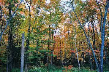 Photo de La Seigneurie des Plaines