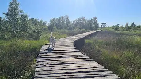 Parc national De Groote Peel